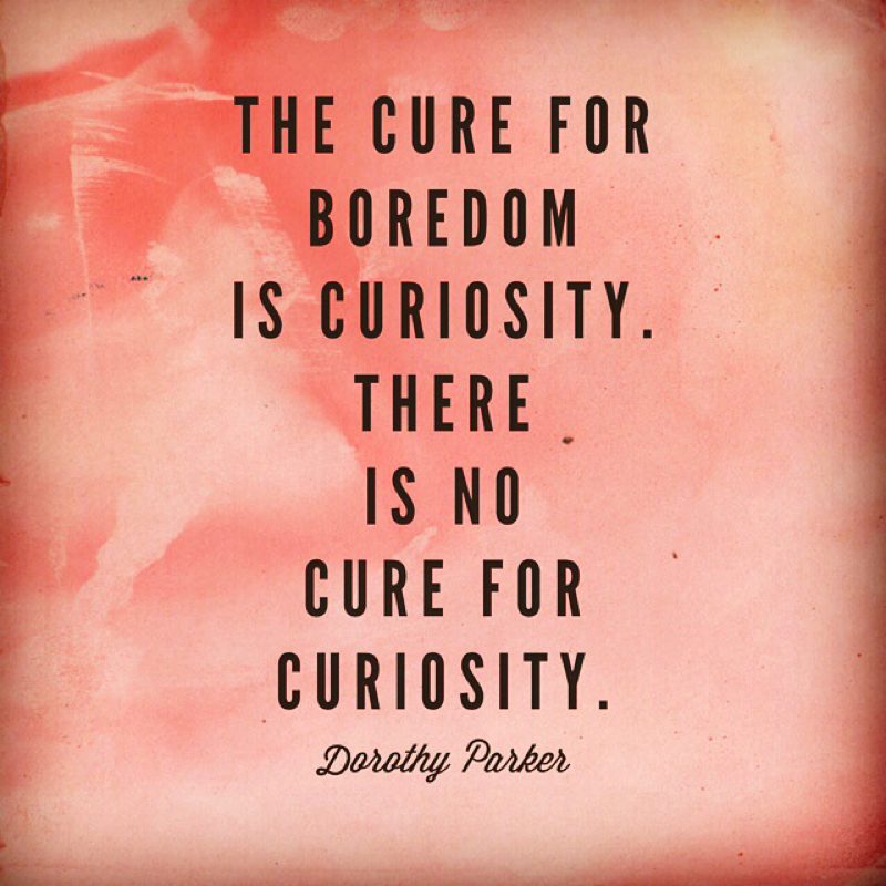 Quote: The cure for boredom is curiosity. There in no cure for curiosity. -Dorothy Parker